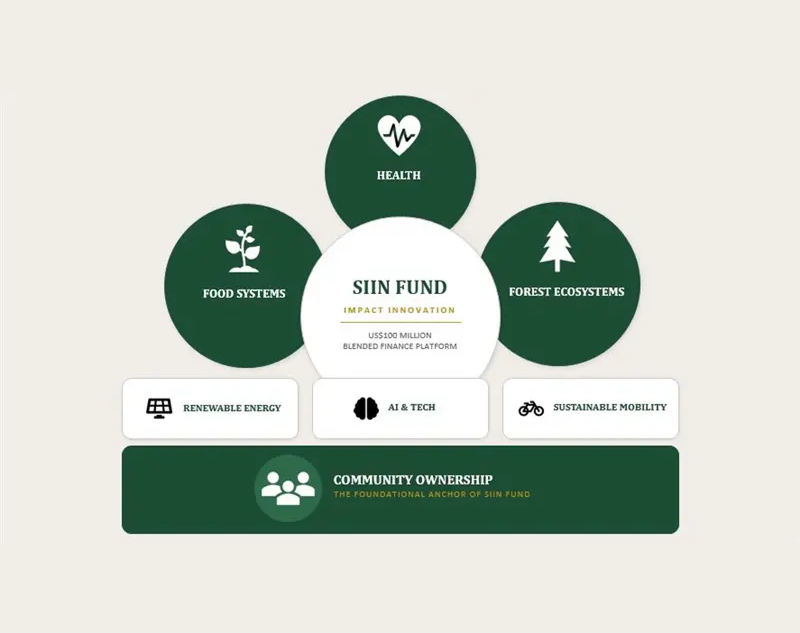 SIIN Fund thematic overview