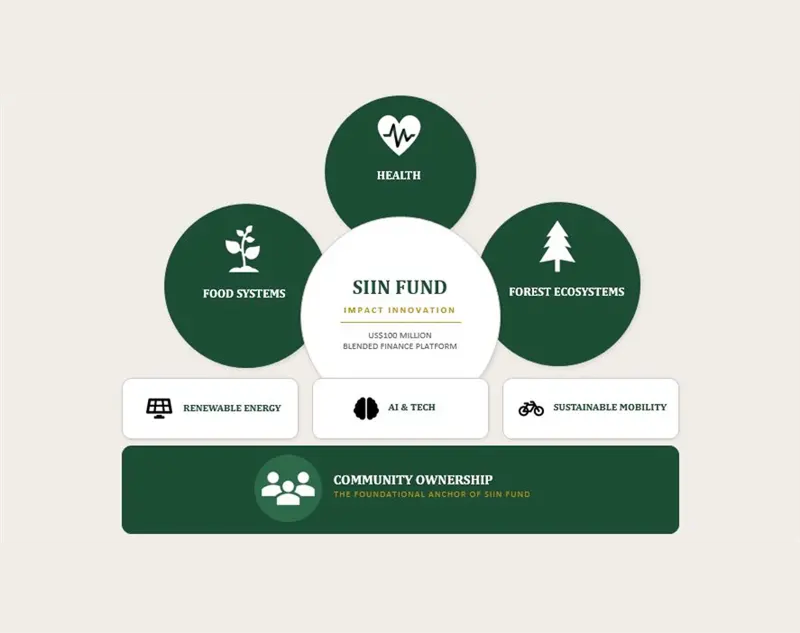 SIIN Fund thematic overview